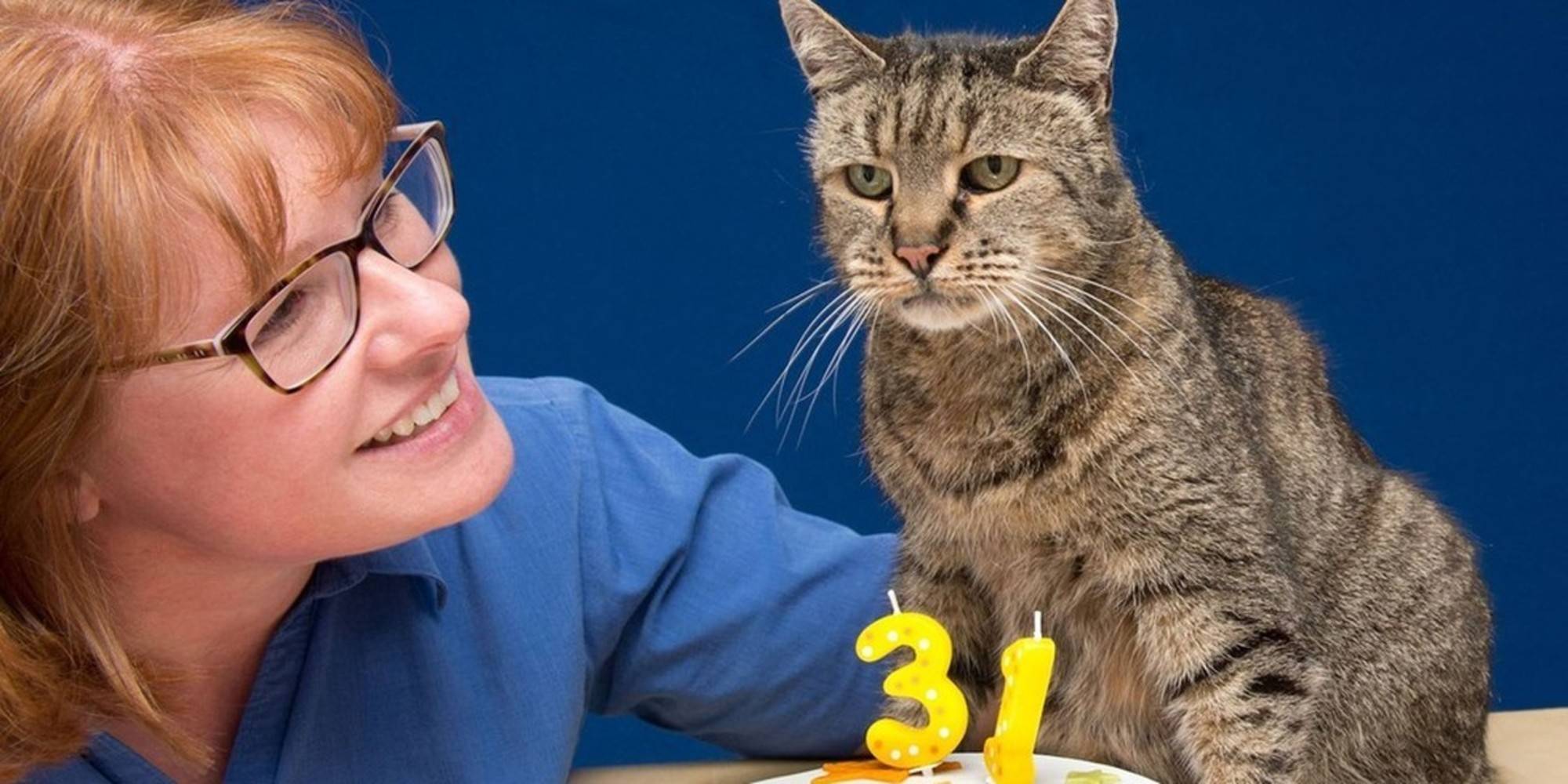 Сколько лет живут кошки