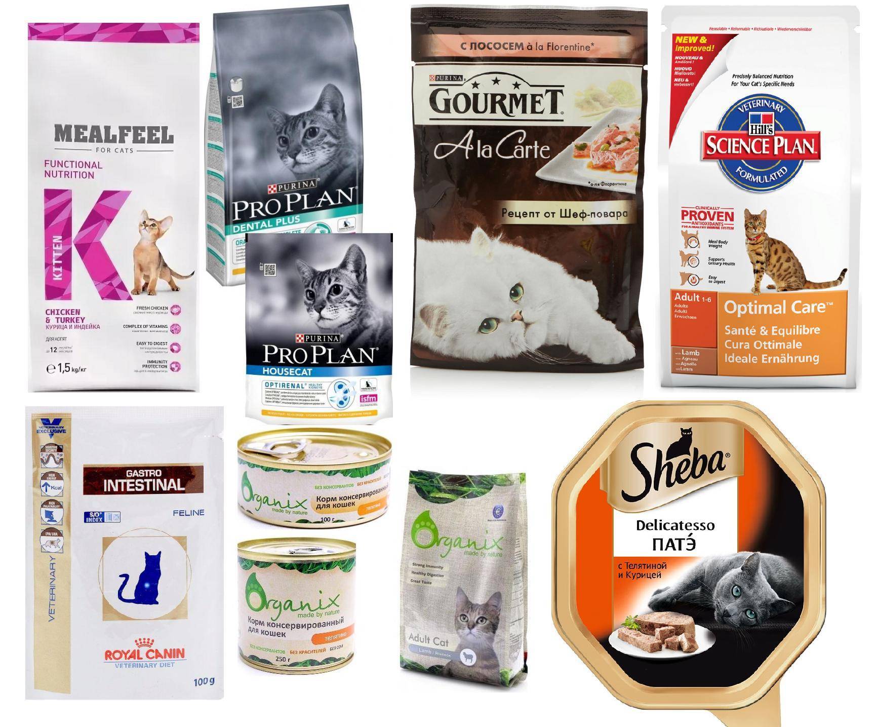 Холистик корм для кошек: рейтинг и отзывы о лучших кормах