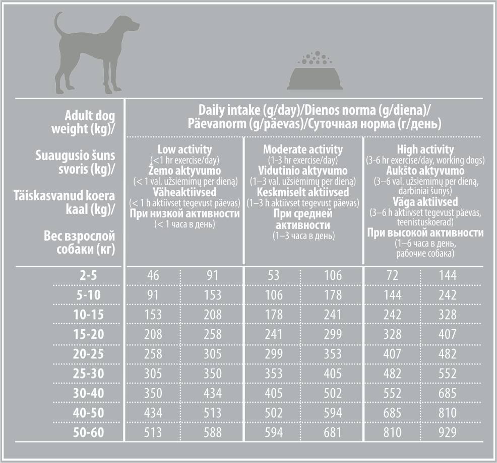 9 субпродуктов для собаки: инструкция для новичка