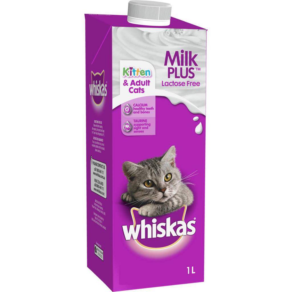 Как понять, есть ли у кошки молоко и достаточно ли его котятам | ваши питомцы