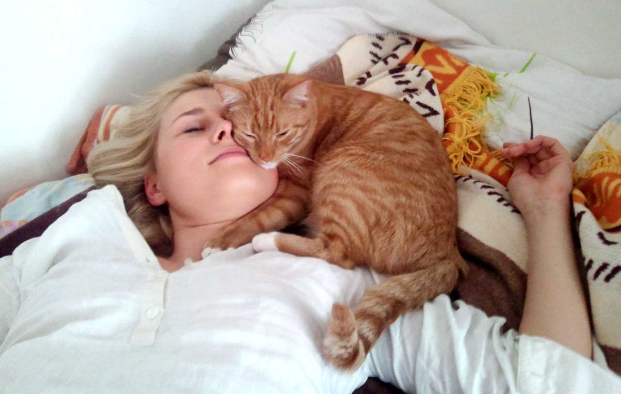 Почему кошка ложится на человека и спит на нем? 5 версий!