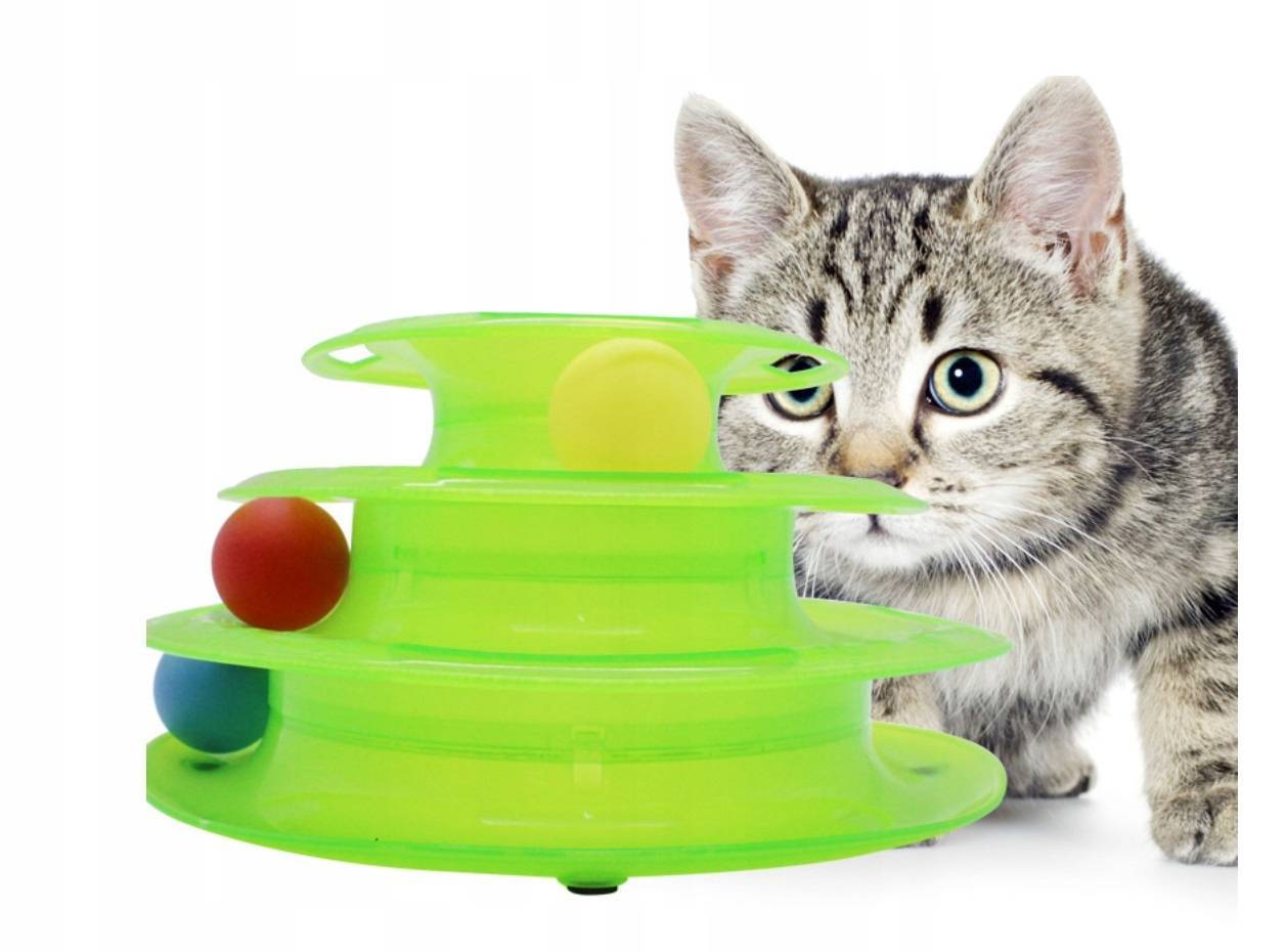 13 лучших игрушек для котов, которые можно быстро сделать своими руками