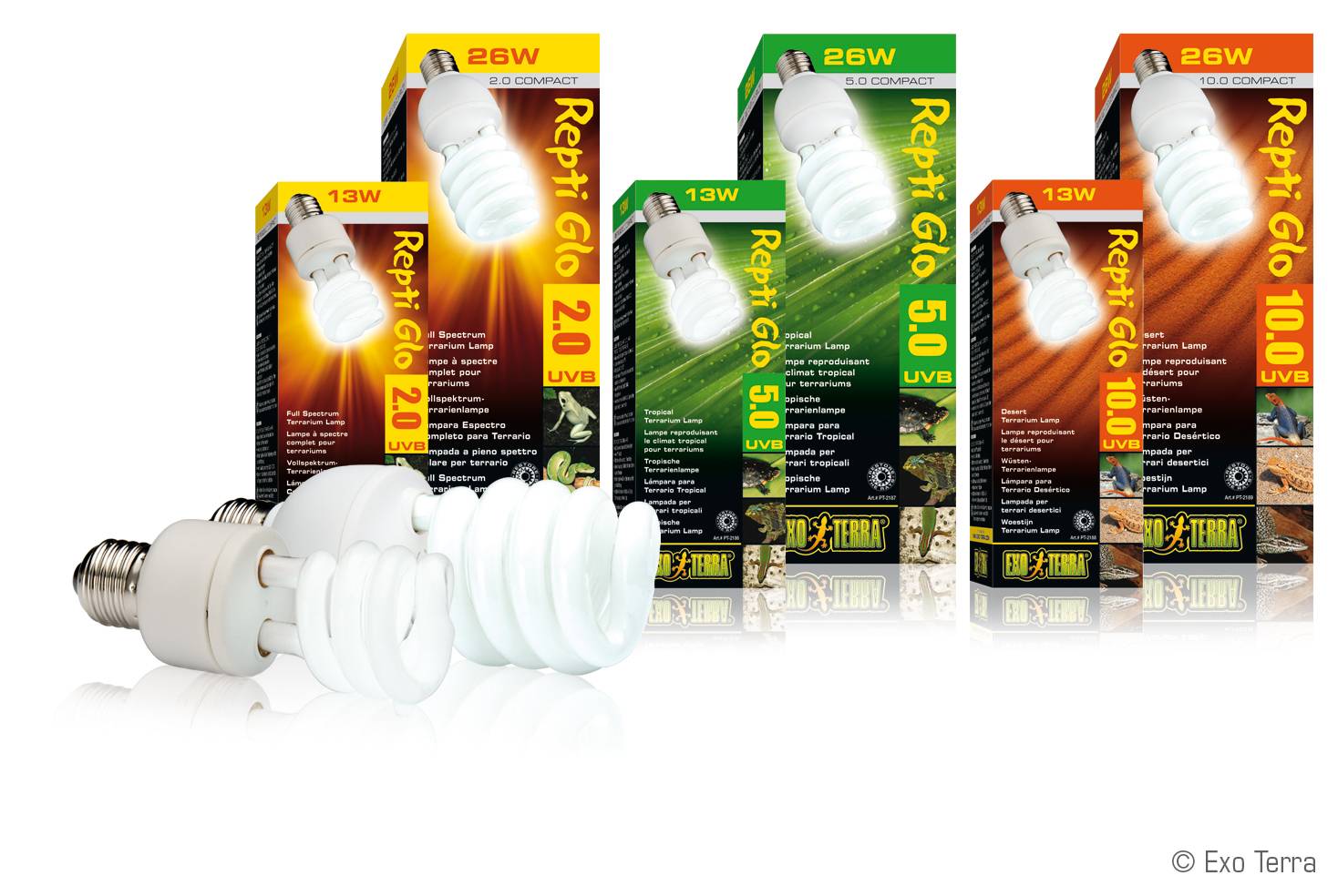 Ультрафиолетовые лампы для черепах: выбор, инструкция по эксплуатации. нужна ли черепахе ультрафиолетовая лампа :: syl.ru