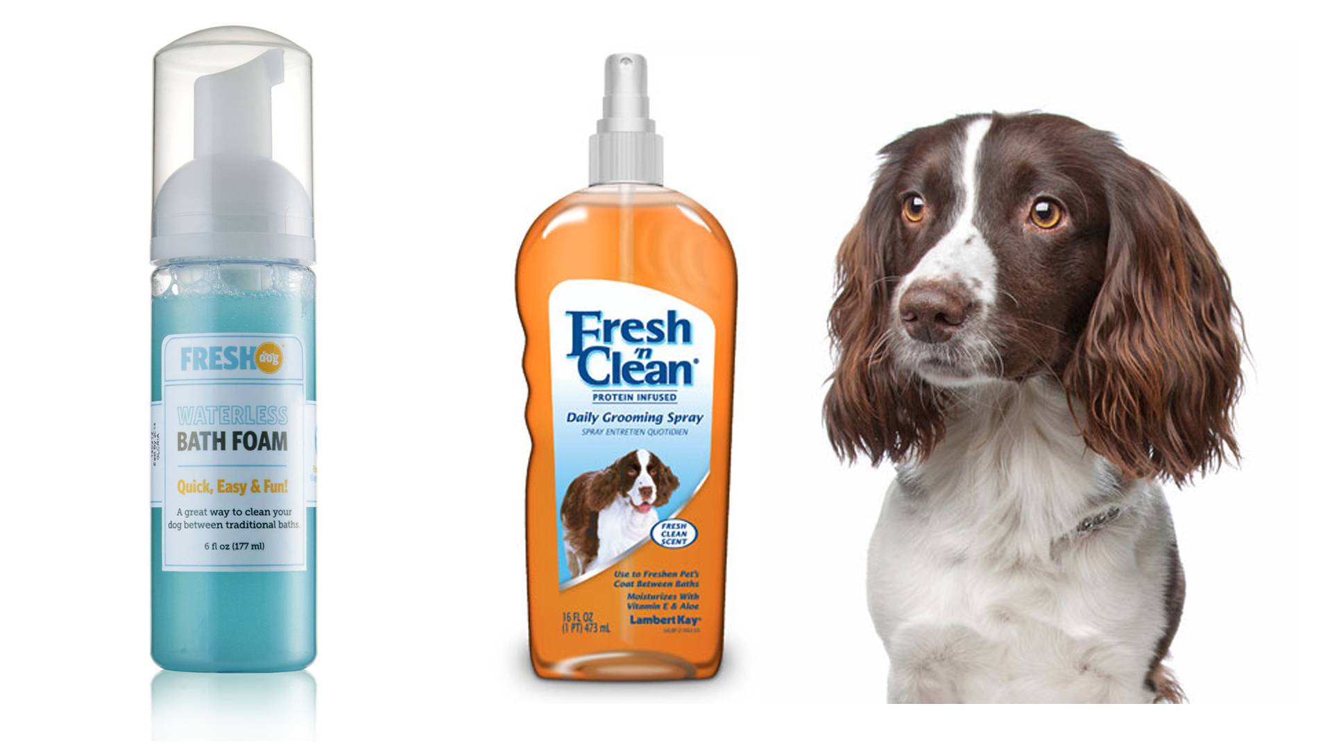 Почему собак нельзя мыть человеческим шампунем