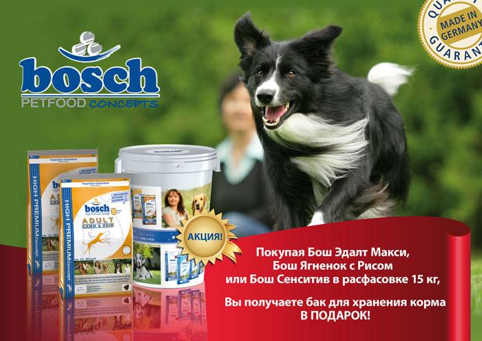 Сухие корма для собак bosch (бош): ассортимент, состав, отзывы