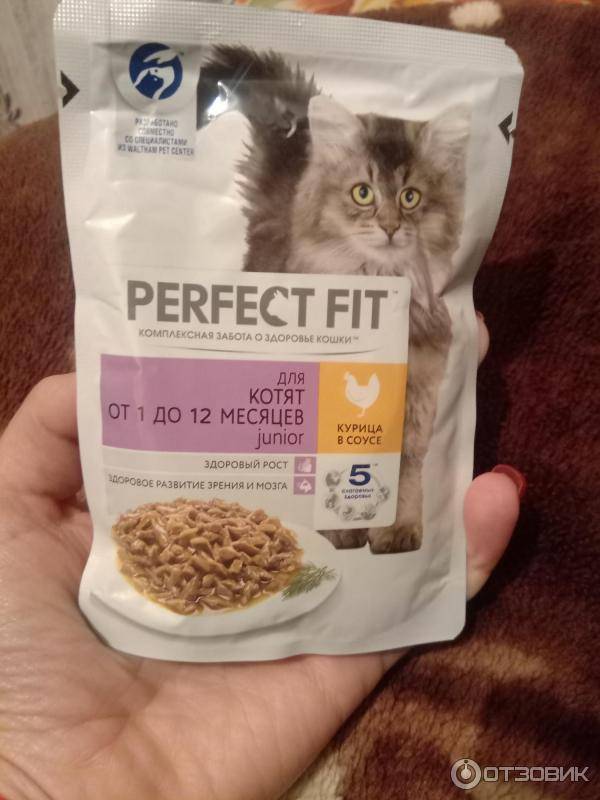 Влажные корма для кошек perfect fit — отзывы