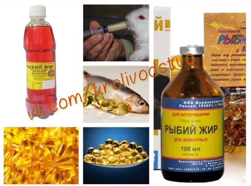 Рыбий жир для собак: рекомендации и дозировка | dogkind.ru