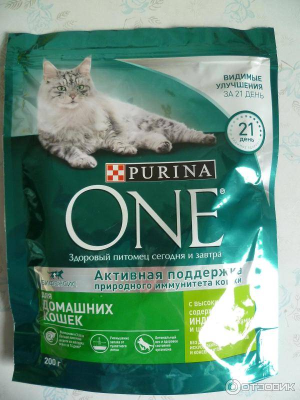 Подробно о сухих и жидких кормах для взрослых кошек и котят от purina one