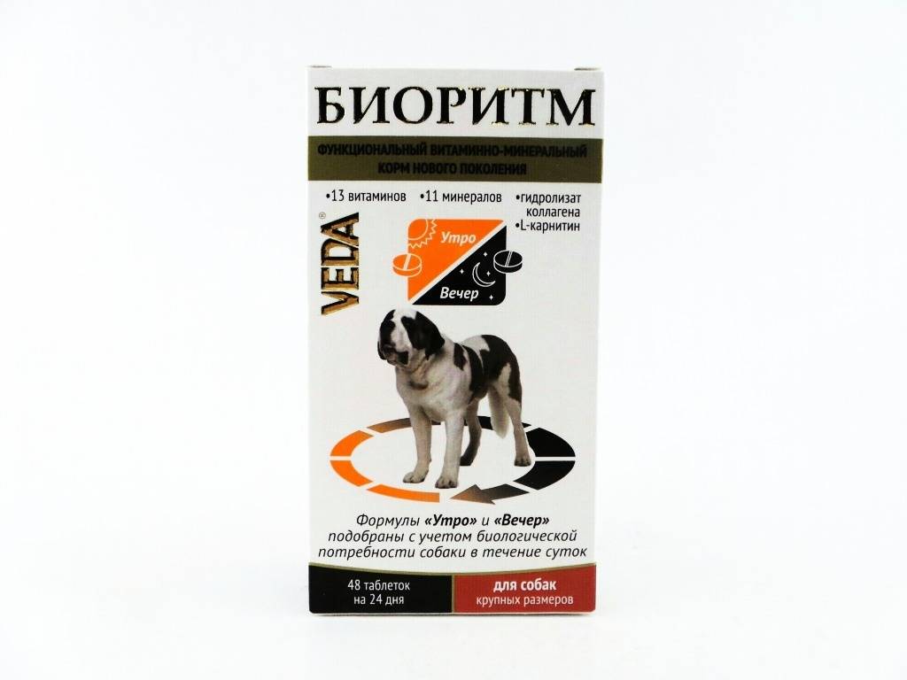 Витамины для собак: для шерсти и кожи при натуральном кормлении