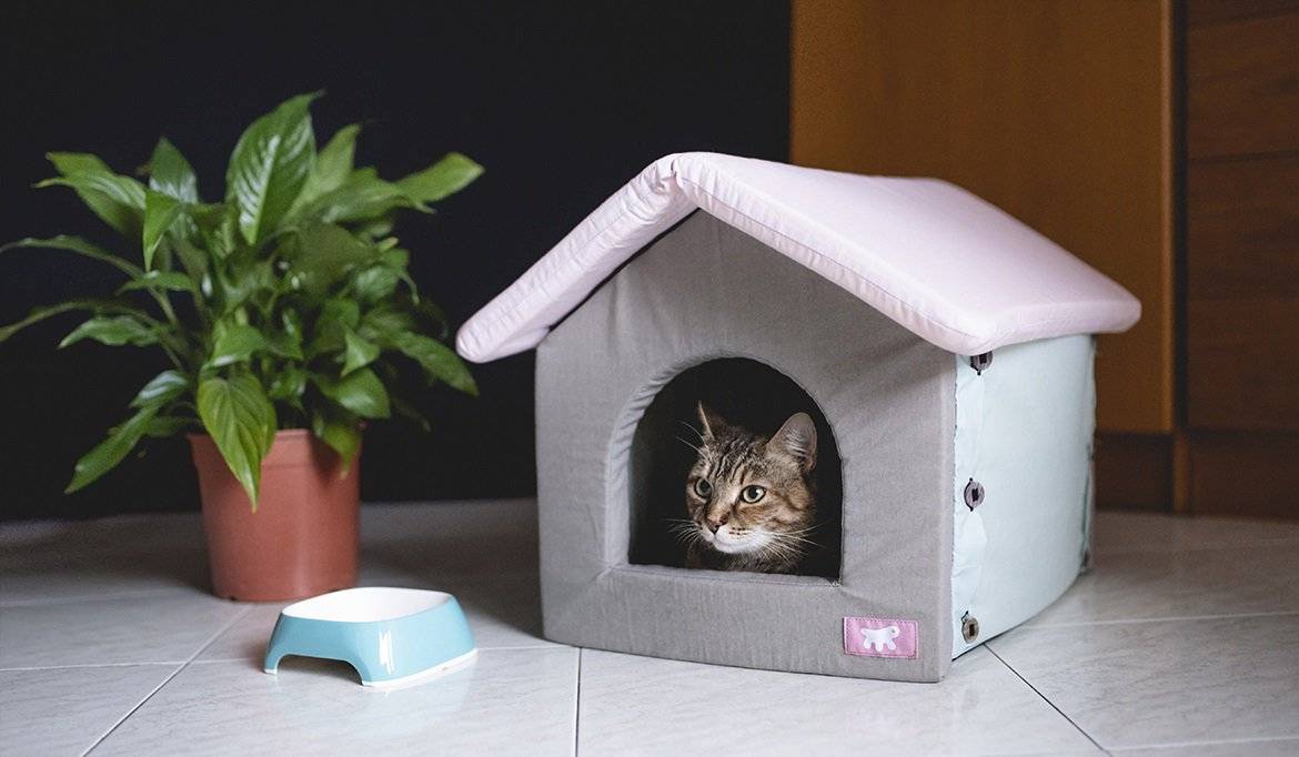 Как сделать домик для кота своими руками: 13 идей и мастер классов