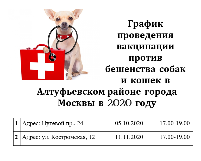 Сделать вакцину от бешенства. Вакцинация собак график. График прививок от бешенства собаке. График проведения прививок от бешенства собаке. Прививка собаке график.