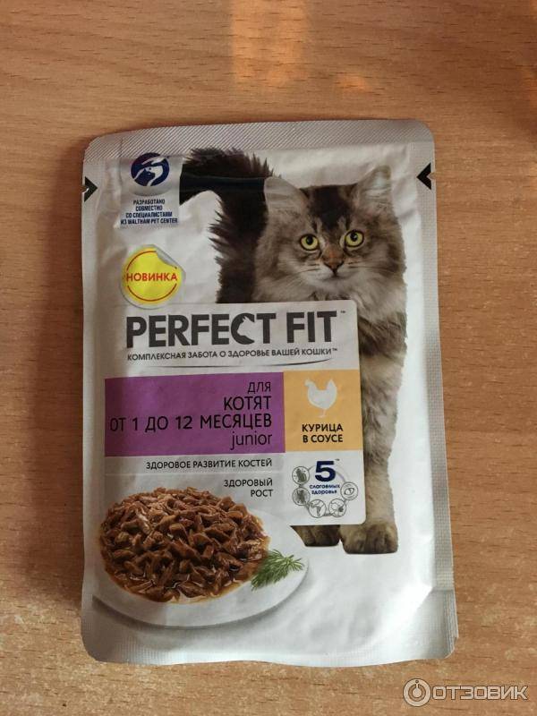 Perfect fit корм для кошек: разбор состава, отзыв ветеринара