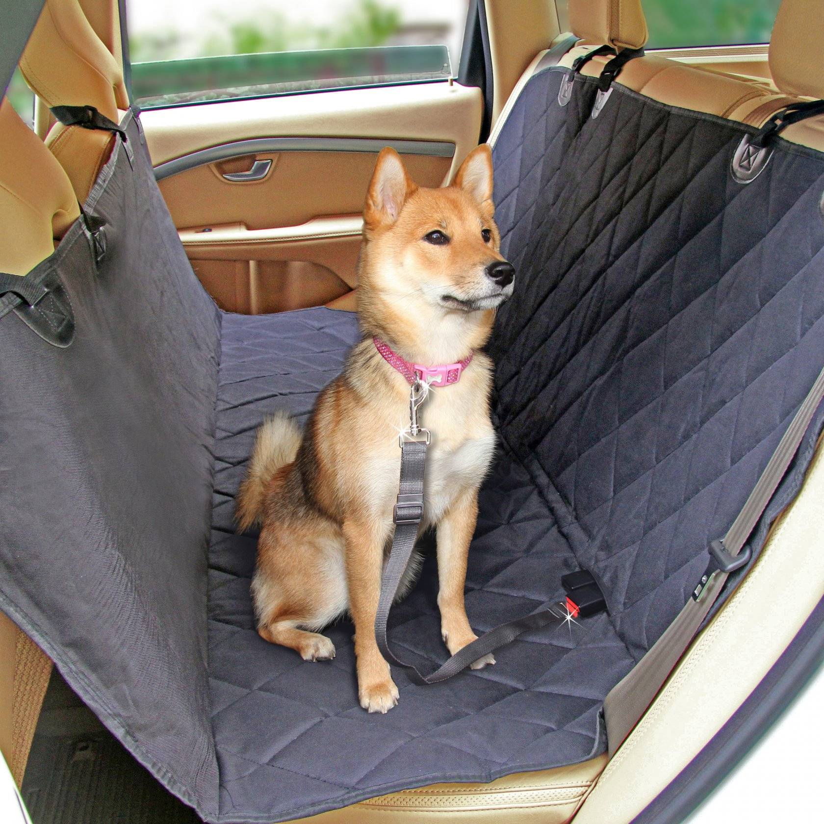Перевозка собаки в автомобиле: правила путешествий, приспособления - гамак, чехол, накидка, как перевозить крупных питомцев