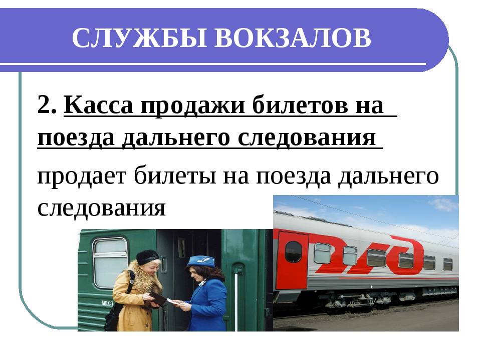 Перевозка кошек в поезде по россии ржд - правила и советы по транспортировке