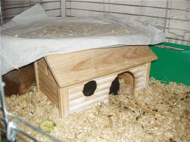 ✅ домик для кролика: как сделать своими руками в домашних условиях, чертежи и размеры, обустройство, фото, видео - tehnoyug.com