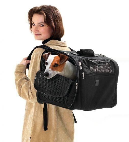 Какие бывают переноски для мелких и крупных собак, где их купить и с какой пустят в самолет или поезд