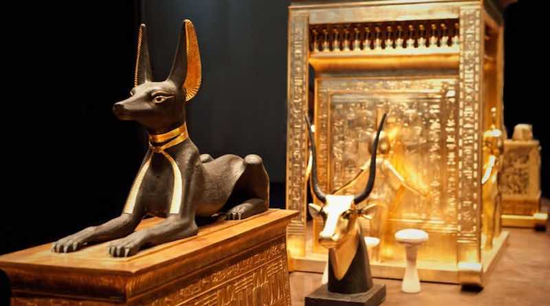 Фараонова собака — последний из богов египта