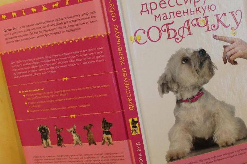 Ваш щенок в возрасте от 3,5 до 6 месяцев: основы дрессиров | дрессировка и воспитание собак | povodok.by - журнал о собаках