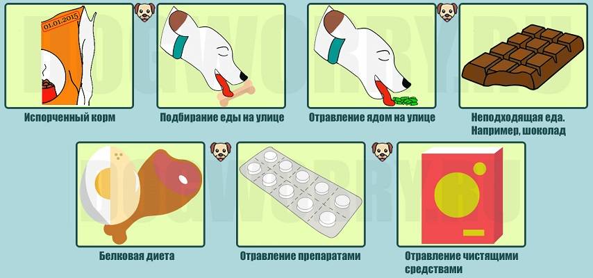 Первая помощь при отравлении рыбой: симптомы, оказания | food and health