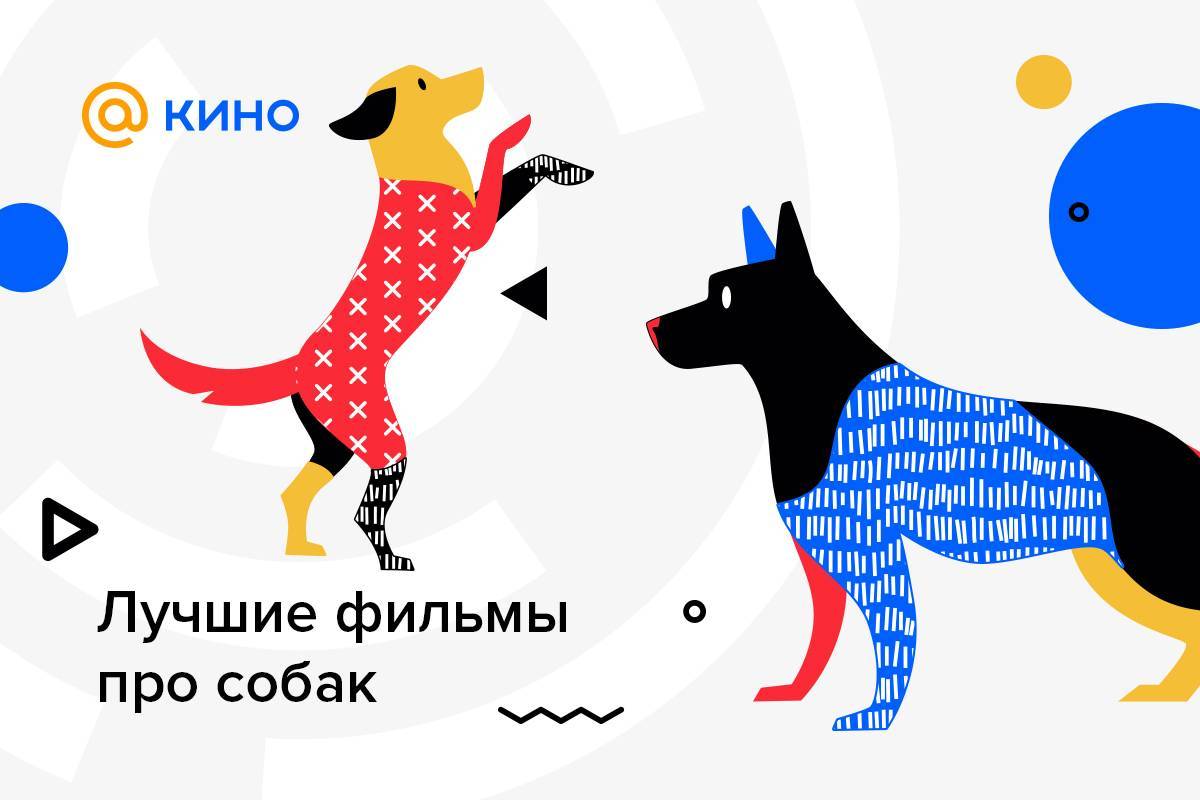 Когда отмечается день собак: особенности международного праздника в россии