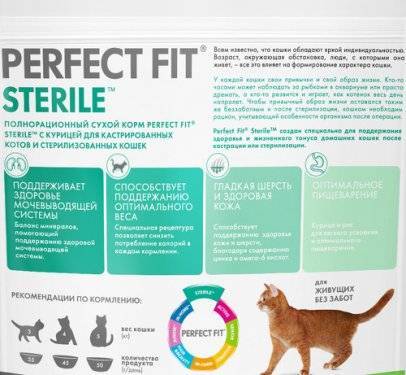 Советы ветеринаров: как правильно кормить взрослых домашних котов и кошек