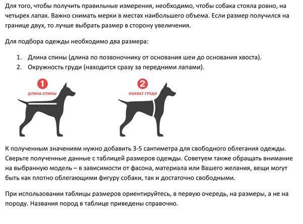 Как определить размер одежды для собаки? таблицы размеров