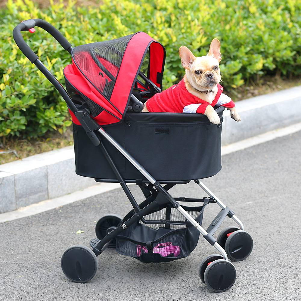 Для чего нужны прогулочные коляски для собак: виды тележек для мелких пород