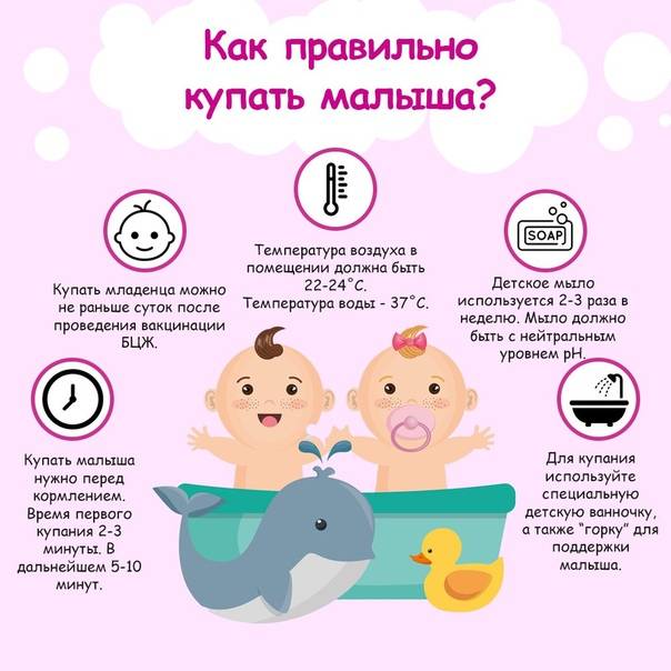 В каком возрасте разрешено купание щенков впервые: правила процедуры