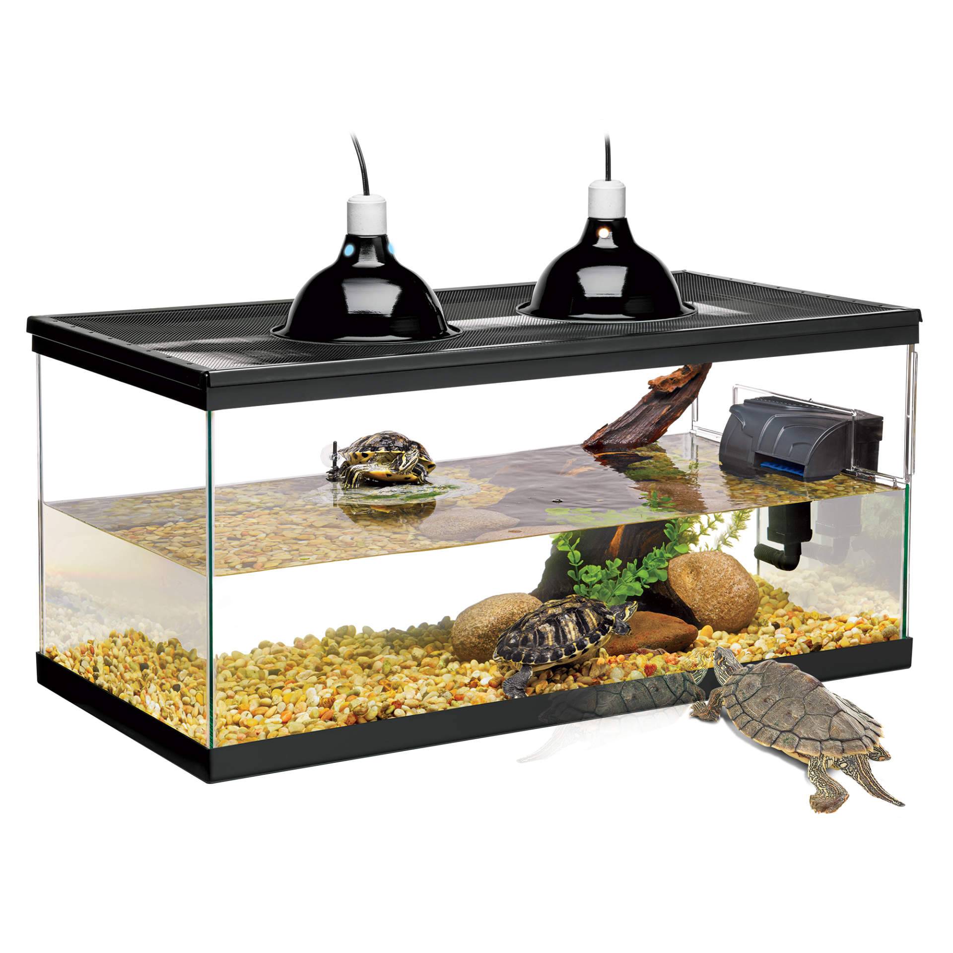 Оформление аквариумов для красноухой черепахи
