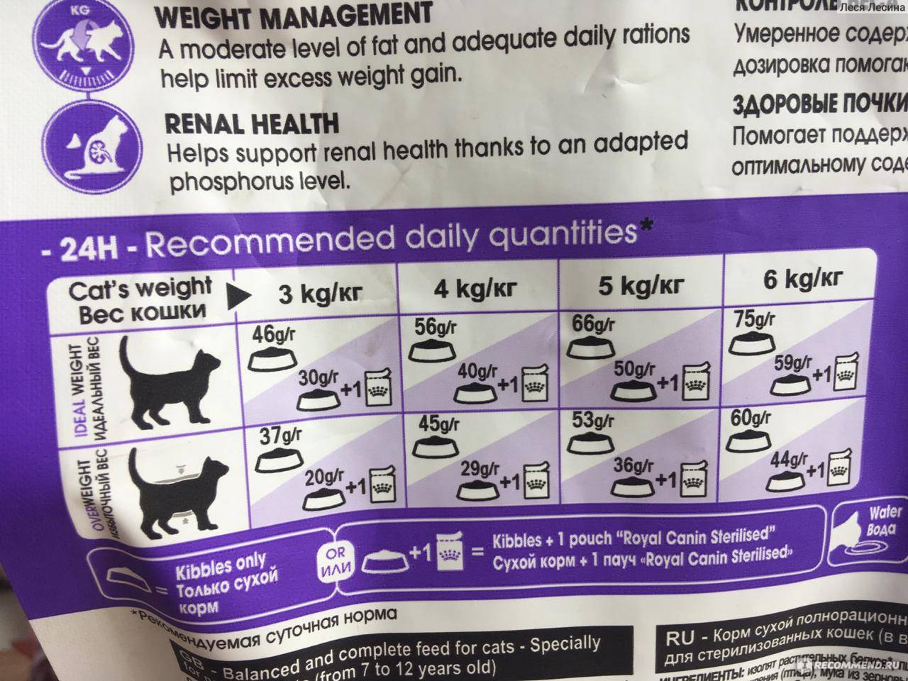 Сколько сухого корма в день нужно коту?
