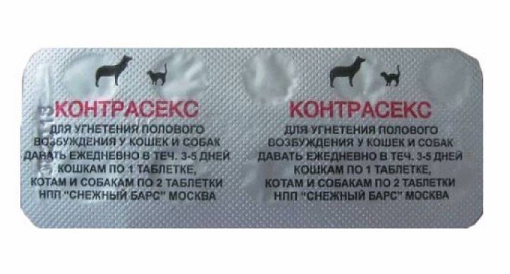 Топ 5 противозачаточных таблеток для кошек