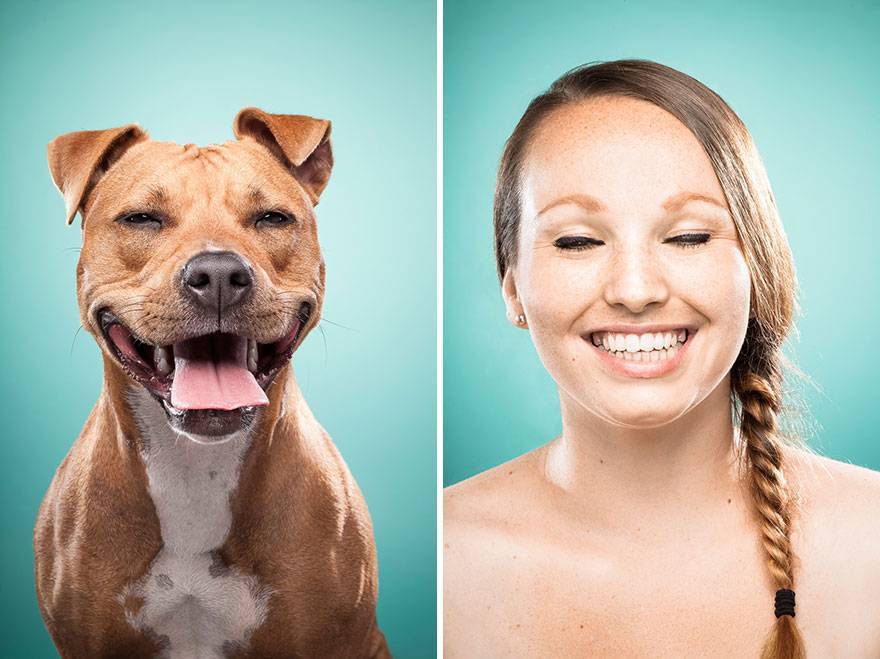 Как улыбаются собаки? особенности мимики и эмоций животных