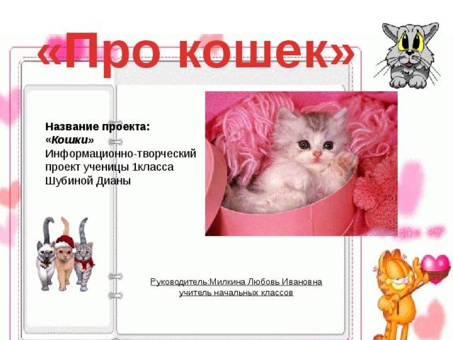 Как познакомить собаку с кошкой - dogtricks.ru