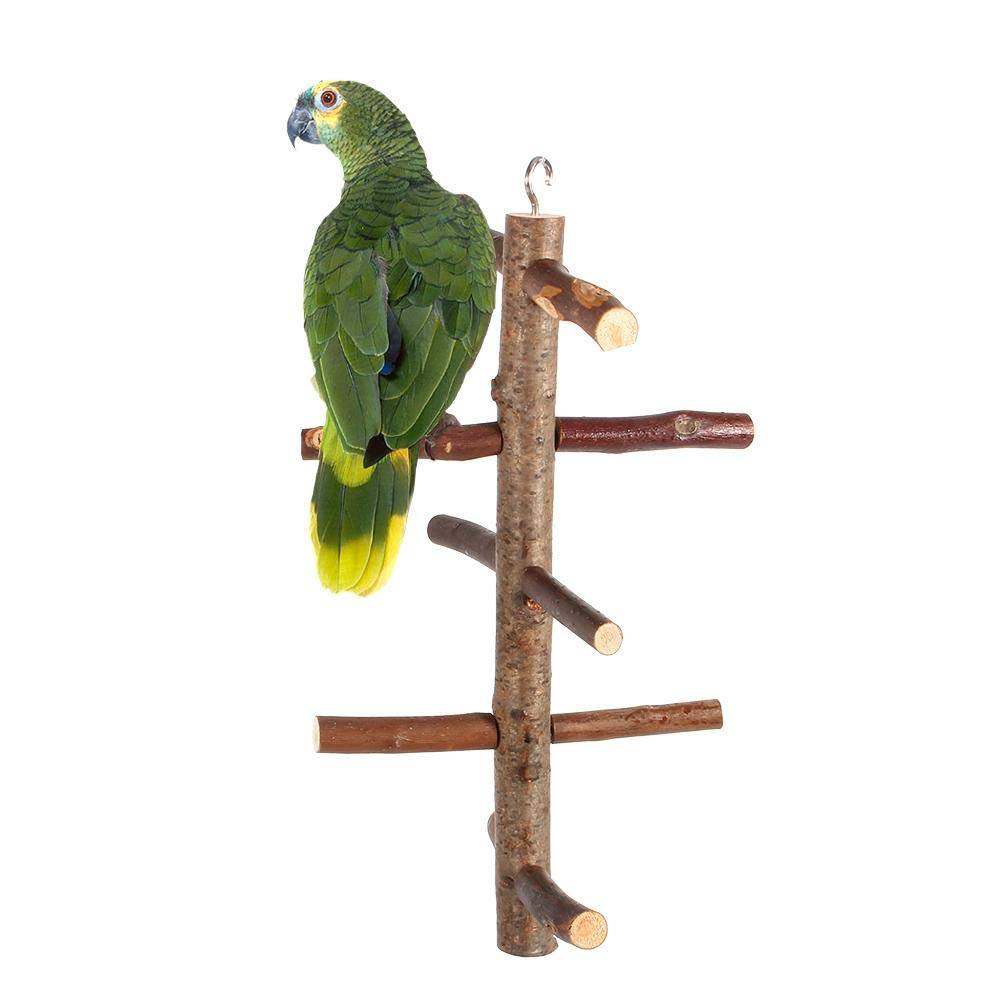 Какие выбрать жердочки для попугаев
