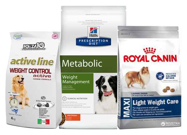 Как организовать питание собак при ожирении