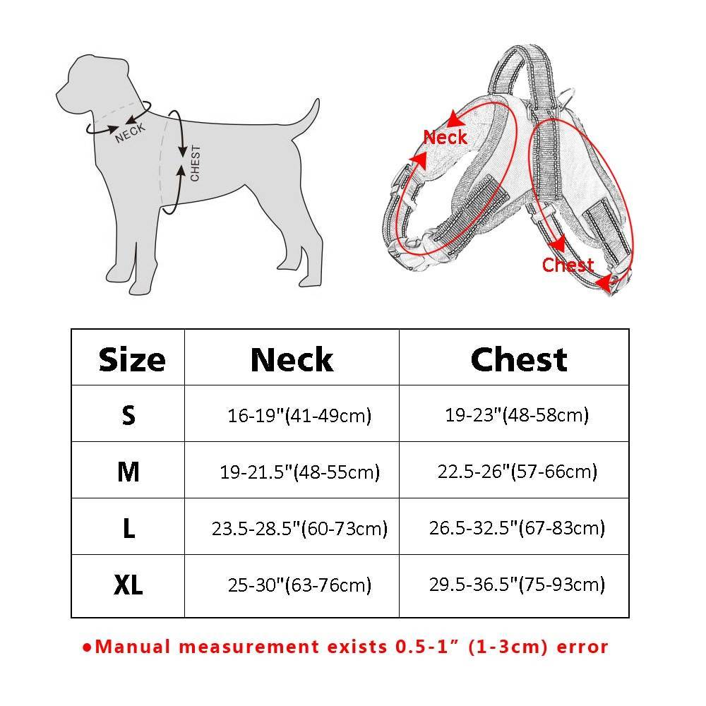 Как определить размер собаки, таблица и фото измерений