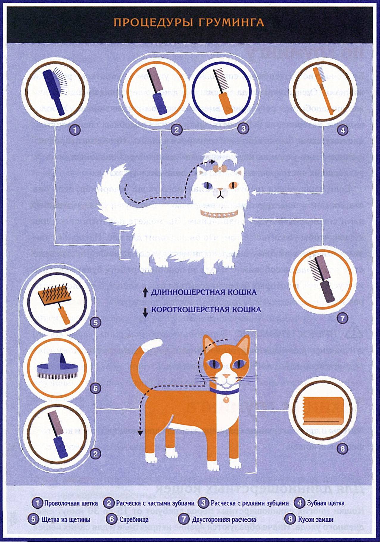Как выбрать аксессуар для расчёсывания кошки