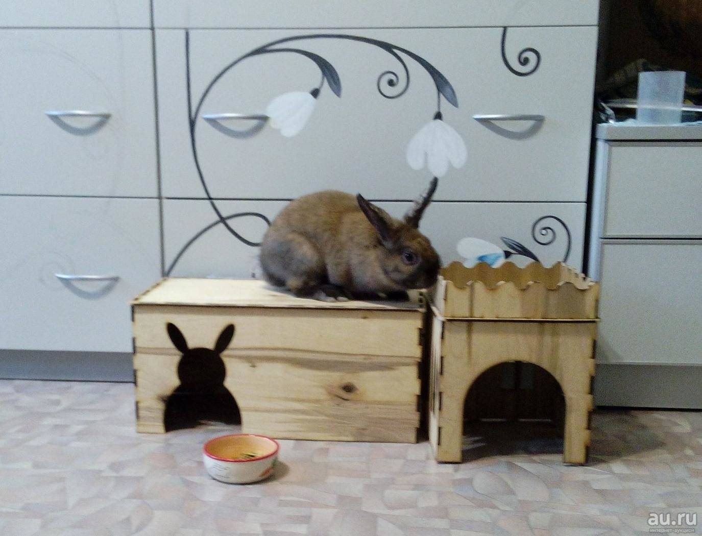 Клетки для кроликов своими руками в домашних условиях