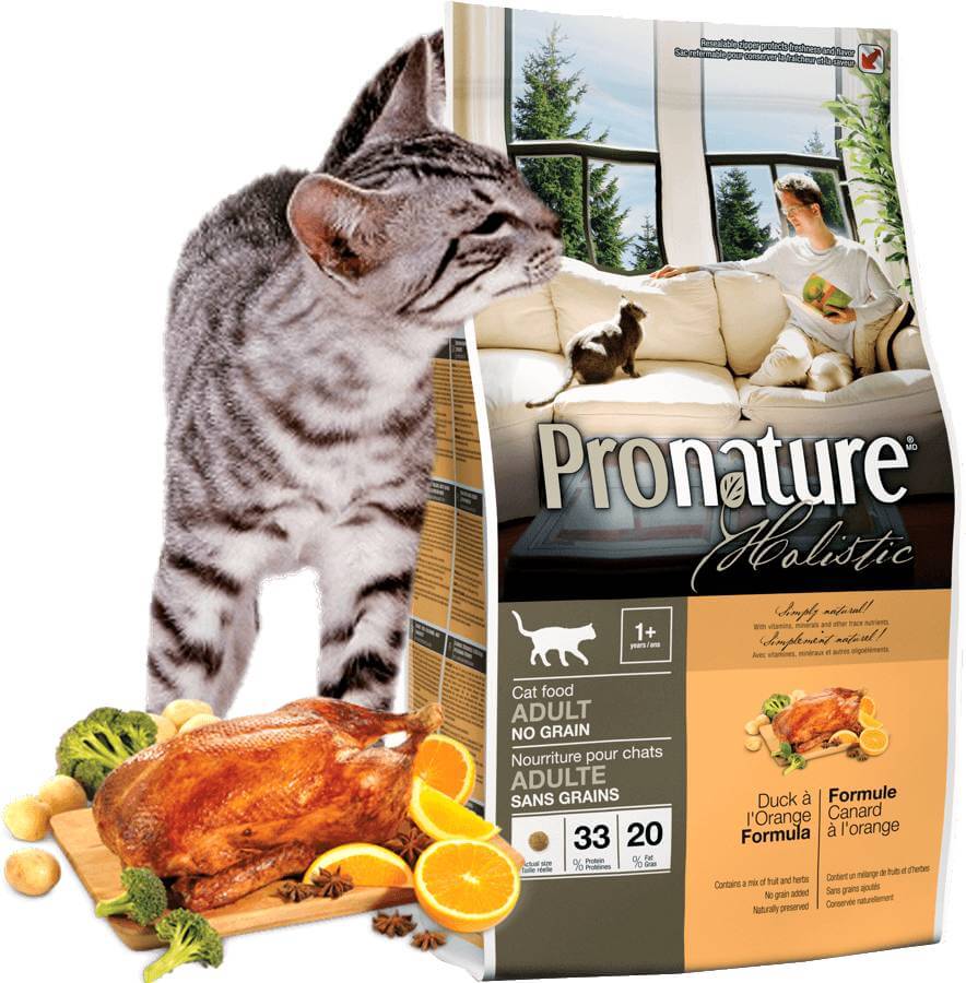 Pronature life (пронатюр лайф): обзор корма для кошек, состав, отзывы