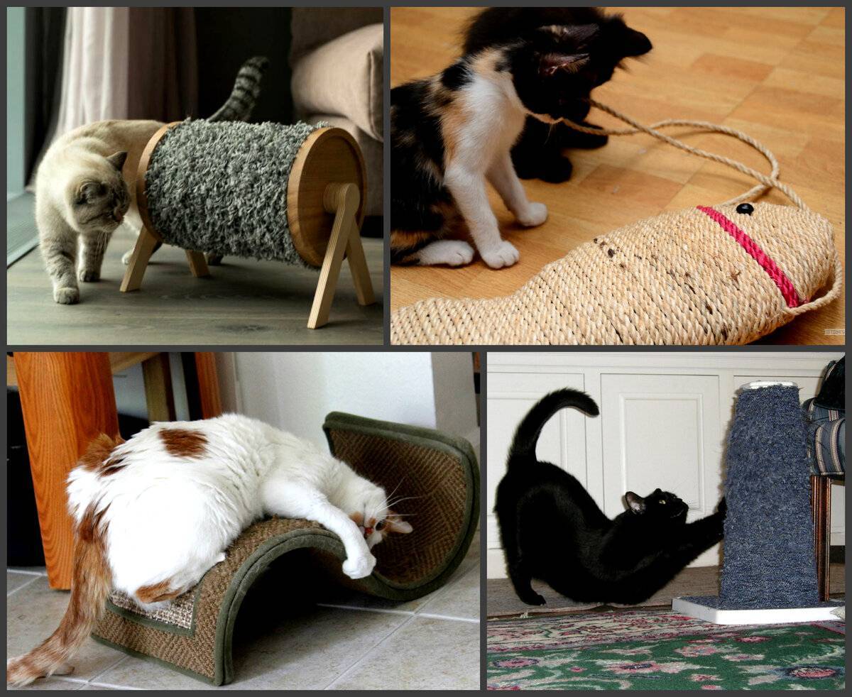 Как отучить кошку царапать мебель и обои: 7 способов