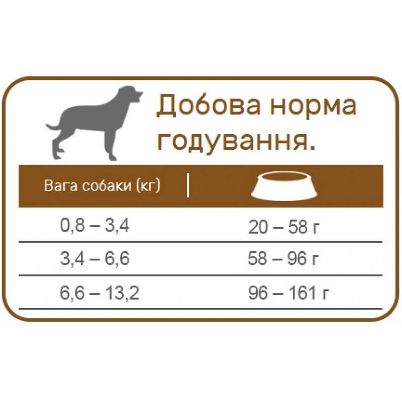 Как правильно перевести собаку на сухой корм?