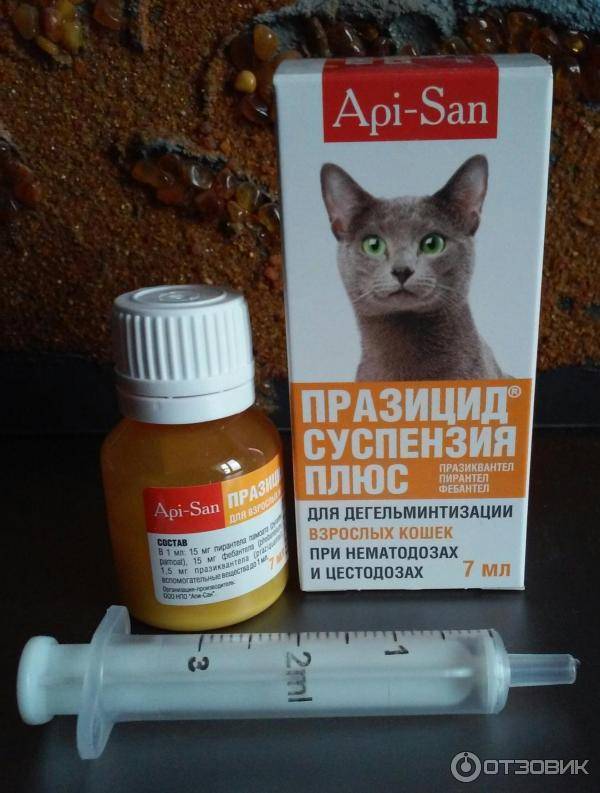 Какие обезболивающие препараты применяют для лечения кошек