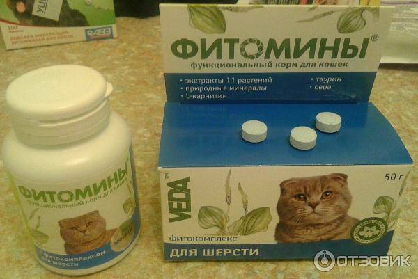 Витамины для кошек и котов: от выпадения шерсти, для иммунитета и других целей, обзор препаратов для взрослых животных и котят, отзывы