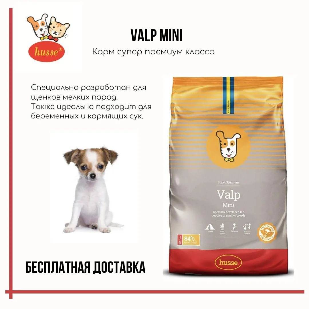 ᐉ мнение и рекомендации ветеринаров: какой корм для собак самый хороший? - zoovet24.ru