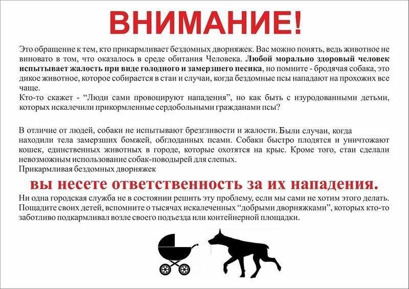 Закон о выгуле собак в 2020 году: правила в россии, штрафы в неположенных местах