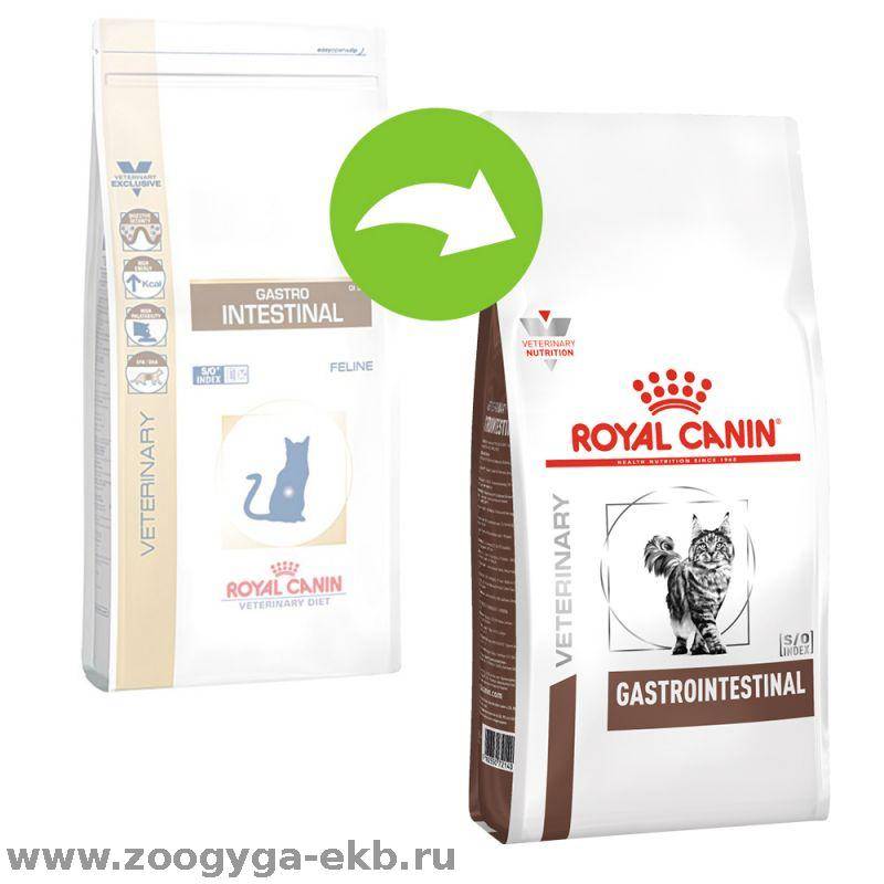 Лечебный корм для кошек при мочекаменной болезни: роял канин уринари, хиллс, проплан, российского производства
