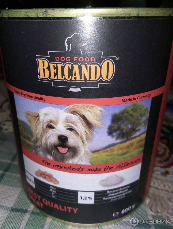Корм «belcando» («белькандо») для собак: описание, обзор, виды, плюсы и минусы