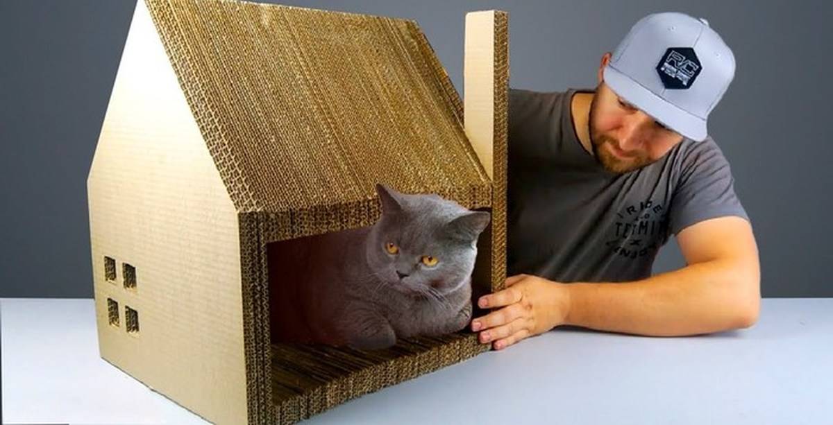 ᐉ домик для кота своими руками из подручных. домик из картонной коробки для кошки своими руками. домик из картонной коробки ✅ igrad.su