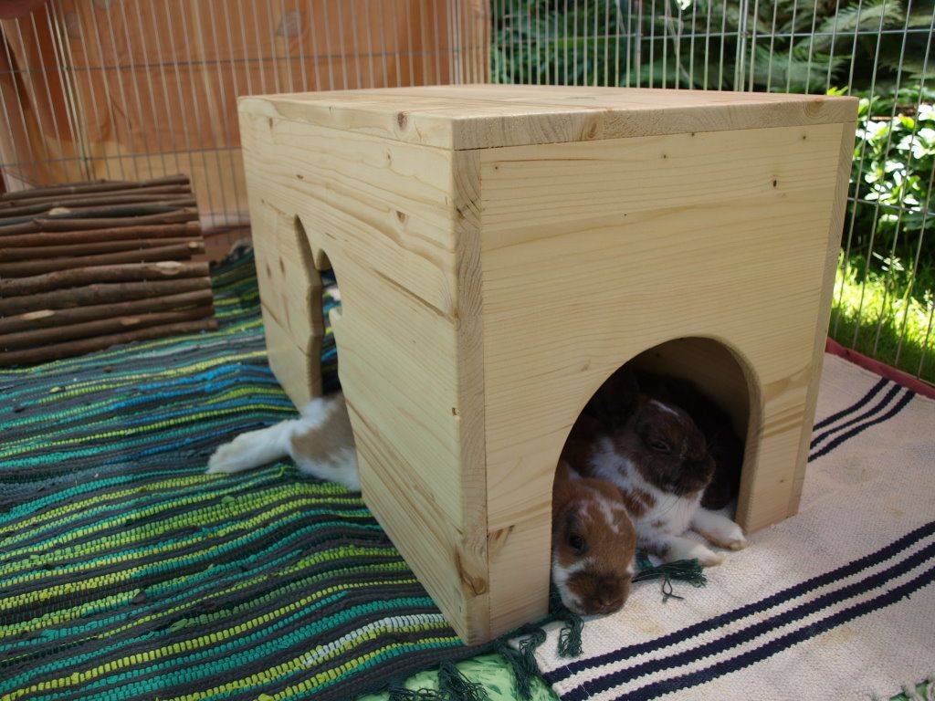 Как сделать домик для кролика своими руками: каким должно быть кроличье жилище