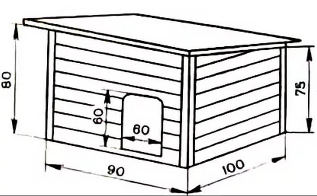 Как построить будку для хаски своими руками: основные требования и пошаговая инструкция изготовления